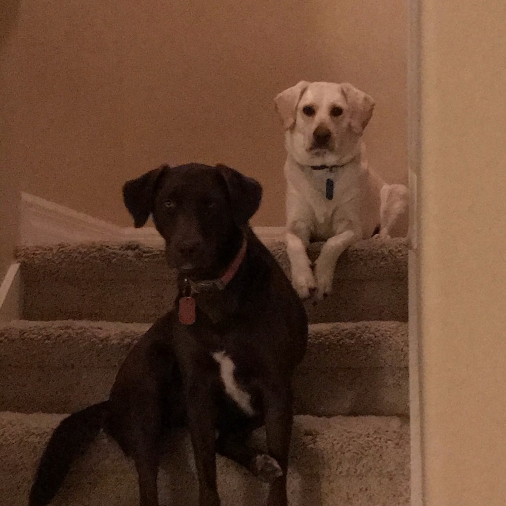 Meet your Posher, Debra